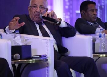 حسن عبد العزيز