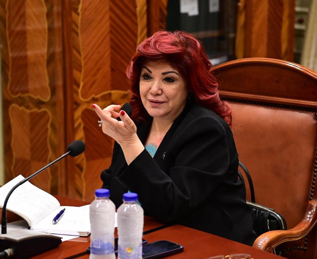 نورا علي رئيس لجنة السياحة والطيران بمجلس النواب 
