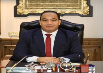 الدكتور عبد المنعم السيد ، مدير مركز القاهرة للدراسات الاقتصادية والاستراتيجية،